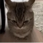 grrrr...