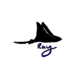 RLDeveloper studios