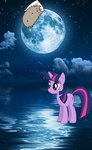 Twilight And The Lights!