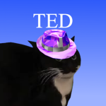 testtestted