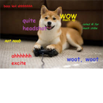The True Doge