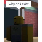 This Exists For No Reason For Real