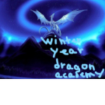 ~ Winter Year Dragon Academy ~