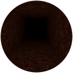 what's in these tunnels?