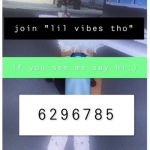 lil vibez tho