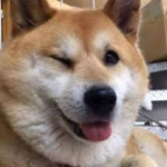 ROYALDOGGO