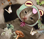 Kitties and clouds