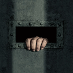 Solitary Confinement Simulator