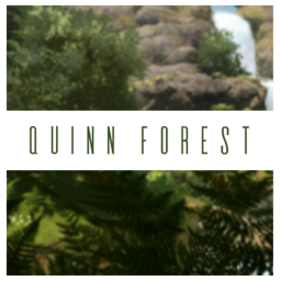 🌲Quinn Forest🌲