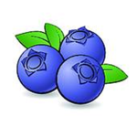 Simplle BlueBerrys