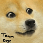 The real Doge army