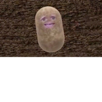 The potatoes are gods