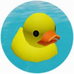 The Pond Experiences