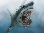Sharks and dragons