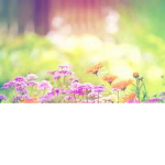 Talia_Playz Fan group