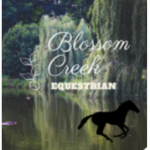 Blossom Creek Equine