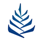 Pine®