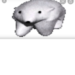 POLAR BEAR GROUPZ