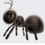 Marching ants