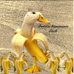 Queen Bannana Duck group :D