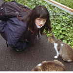 SLEEPY PANDA (OFFICIAL)