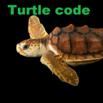 turtle code