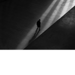 the darkend socciety