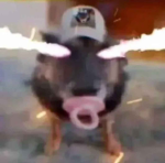 Crave Studioz