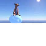 Dog of Wisdom