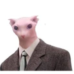 Enrique pro