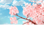Sakura Middle School