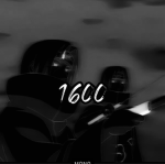 shadows7382