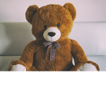 tedy is king