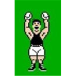 Punch Out Fans!