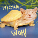 帝woki ;r