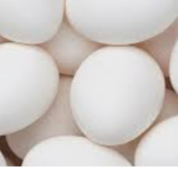 🥚Wacky Land Of Eggs🥚