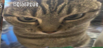 Kaleljames27