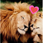Who loves animals?