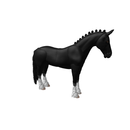 black horse