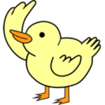 Ducky Clothing Group
