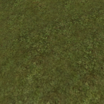 Testing Grounds