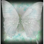 wishingstar