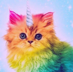 Caticorns baby!!