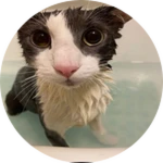[UNOBTAINABLE] 0 Soggy Points