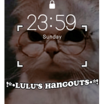 •Lulu’s hangout•