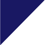 Navy Blu (Roblox Group)