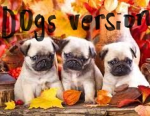 dogs version