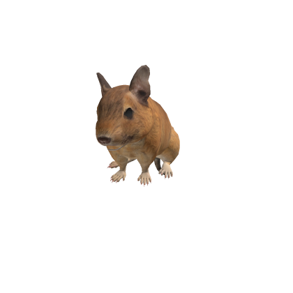 degu 