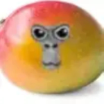 Mango monkey club