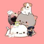 Cat's and dogs group